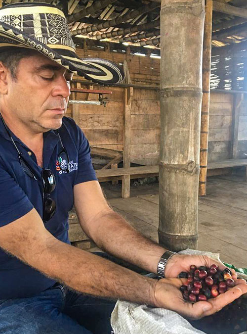 Kolombiya La Cristalina Bourbon Natural - Görsel 3